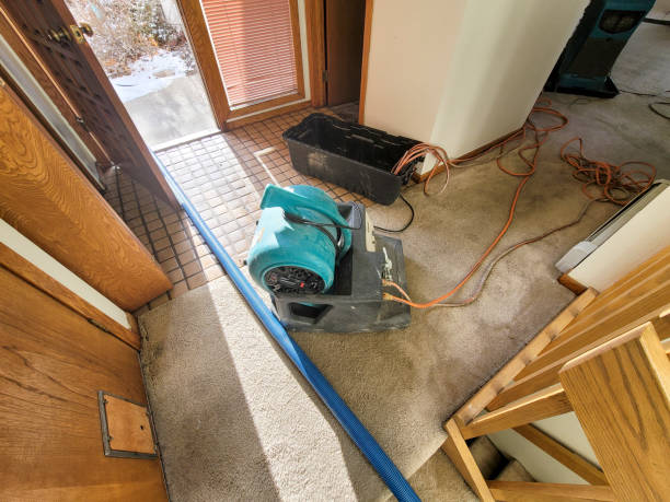 Best Local water damage restoration  in Redding, CA