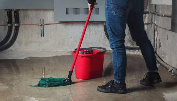 Best Water damage cleanup near me  in Redding, CA
