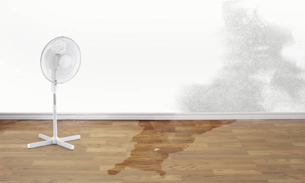 Best Residential water damage restoration  in Redding, CA