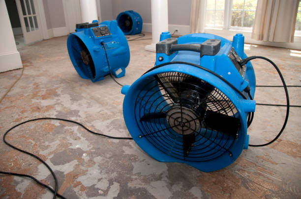 Best Ceiling water damage repair  in Redding, CA