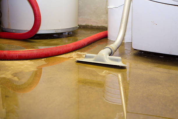 Best Ceiling water damage repair  in Redding, CA