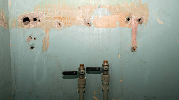 Best 24-hour water damage restoration  in Redding, CA