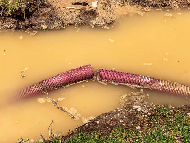 Best Basement water damage restoration  in Redding, CA