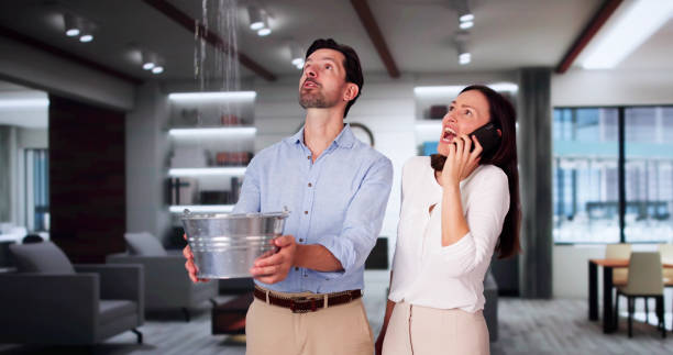 Best Mold removal after water damage  in Redding, CA